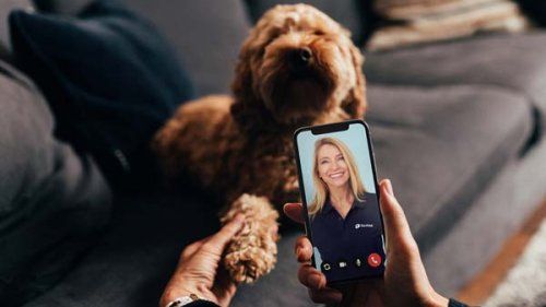 Online dyrlæge på telefon med hund i baggrunden