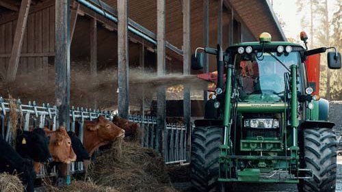 Traktor som forer køerne på landbruget