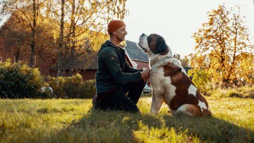 Hund og mand udenfor