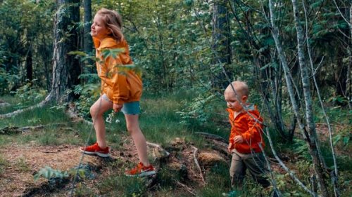 To børn på tur i skoven en sommerdag.